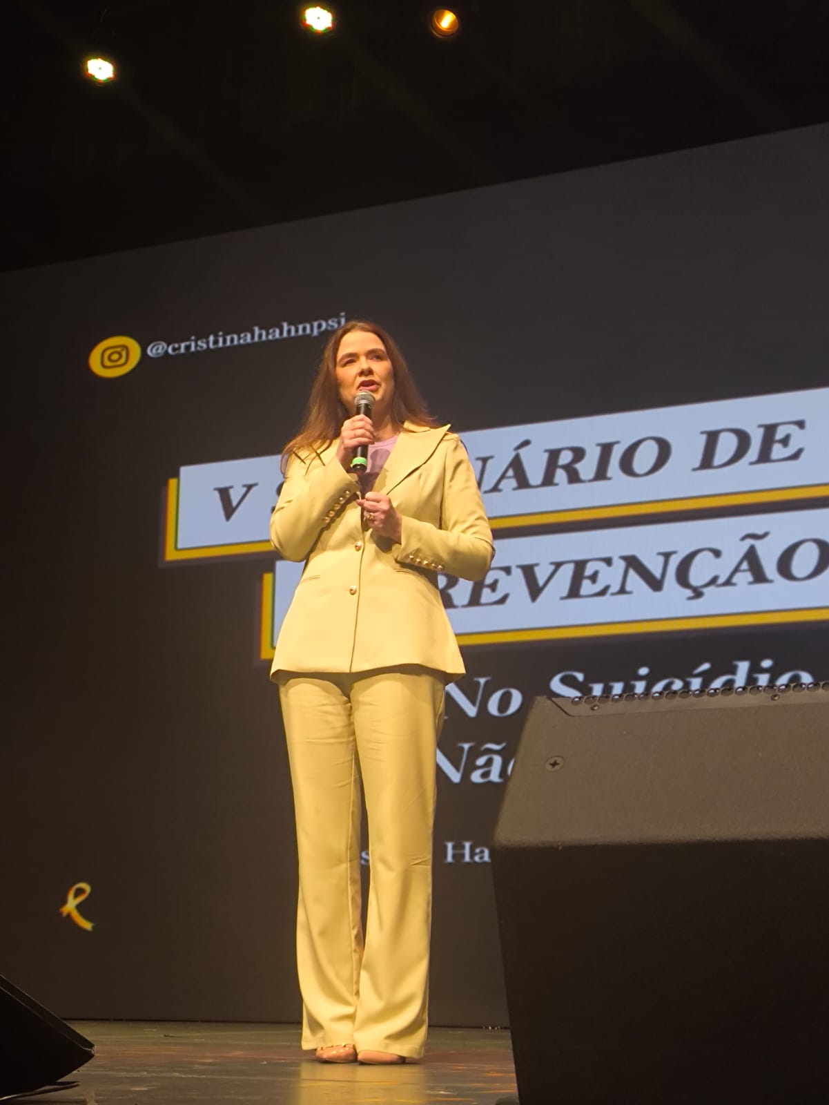 Cristina Hahn em palestra